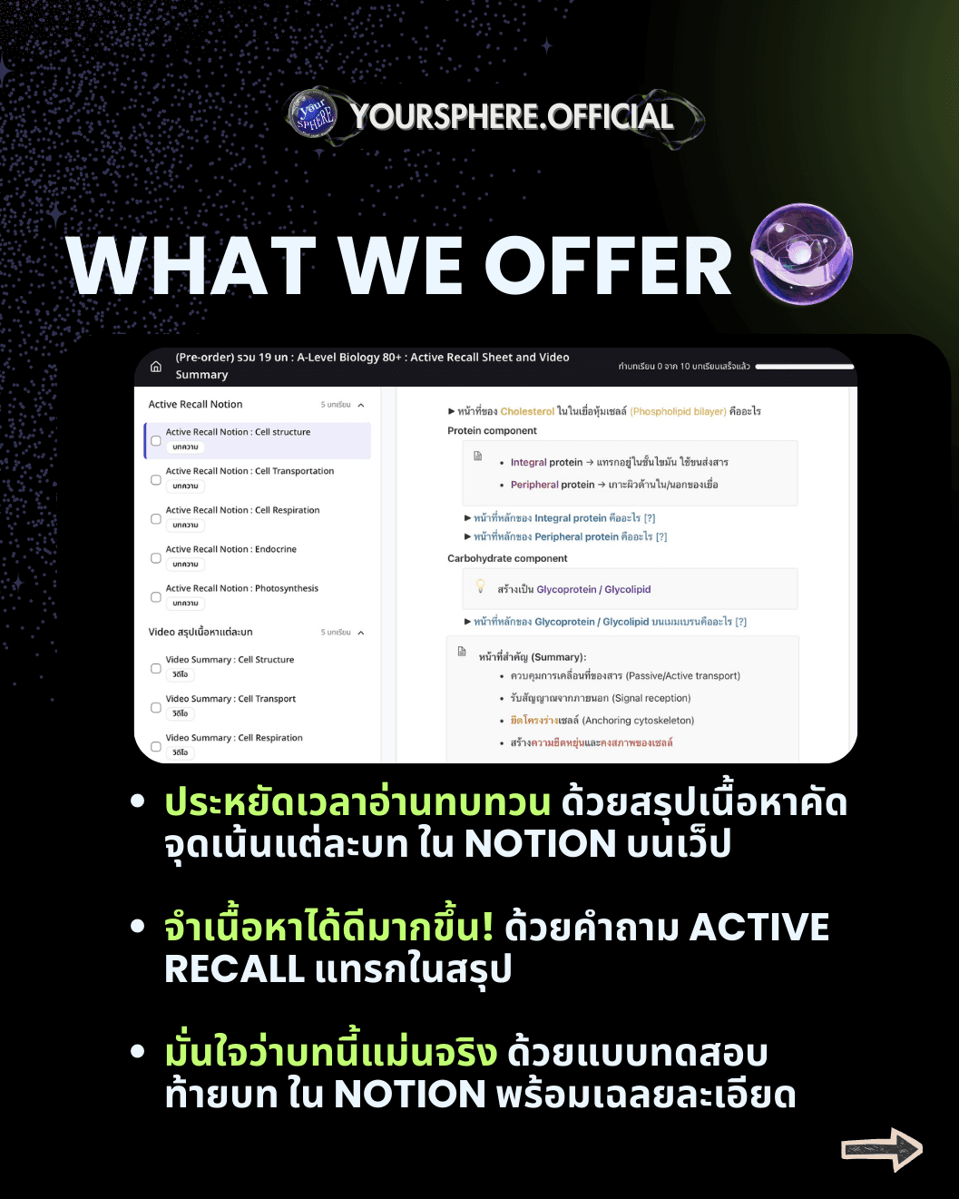 https://storage.openmirai.com/68c6d9c2c2208c62358a6475/323b0adf-e306-43ef-9b40-0945324354f1-2.png